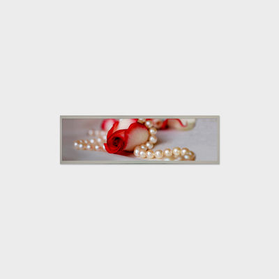 19.4 Inch Bar LCD Panel 1920*510 LVDS 1000 Nits Screen untuk signage komersial