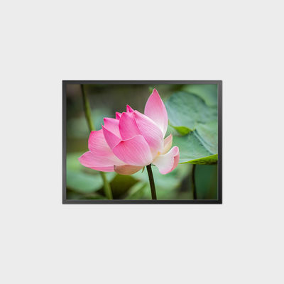 34.3 Inch Square LCD Panel 1856 * 1420 1500 Nits Tampilan LCD Modul