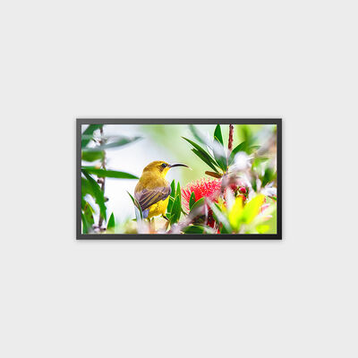 Tampilan Iklan LCD TFT 32 inci Solusi Kecerahan Tinggi 4000nits
