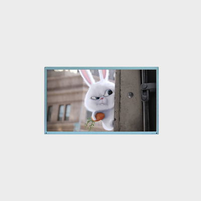 17.3 Inch LCD Display Outdoor Panel Control Application Support Customization LCMA-RX0173GA01-C080