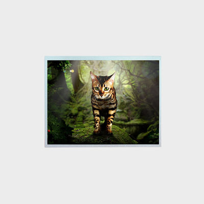 15 inch TFT LCD Display With 1000nits Brightness Outdoor VA Charging Machine