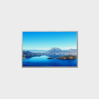 10.1 inci Lampu Tinggi LCD 1280*800 LVDS 1000nits
