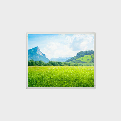 LVDS 500nits Layar LCD Kecerahan Tinggi 19 Inch Layar LCD 1280*1024
