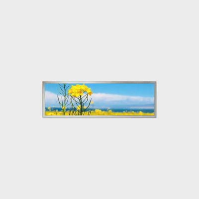Layar LCD Tipe Batang 19,4 inci 1920*510 LVDS 500nits