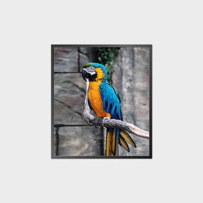 High Contrast Square LCD Panel 35.6 Inch 950*1080 500nit Dengan Sistem Android