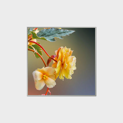 33.2 Inch Square LCD Display 420nits LVDS LCD Module Untuk Mal Perbelanjaan