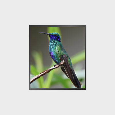 27.9 Inch Square LCD Screen 1920*2160 500nits 0-50°C V-By-One LCD Module Display