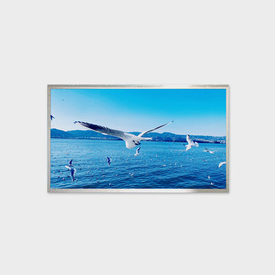 Solusi LCD TFT 13,3 Inci Solusi Kecerahan 800nits Tampilan Suhu Lebar