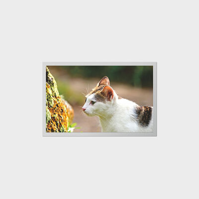 Layar TFT 12,1 inci Dengan LCD Konsumsi Daya Rendah untuk Alat Kesehatan Portabel