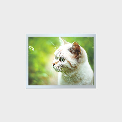 15 Inch High Brightness TFT Long Lifespan LCD for Industrial Instrument Panels